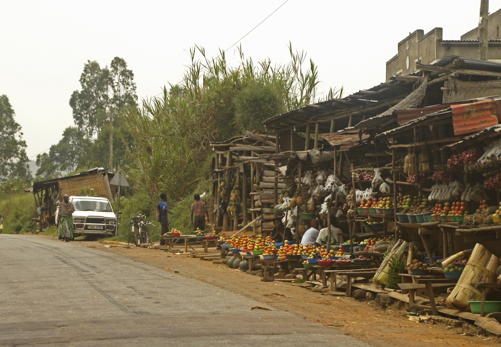 obstmarkt-uganda-strassenrand-einheimische-wellblechstaende